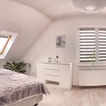 Kora Cieplice Jelenia Góra
