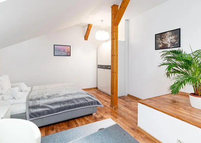 Kora Cieplice Jelenia Góra